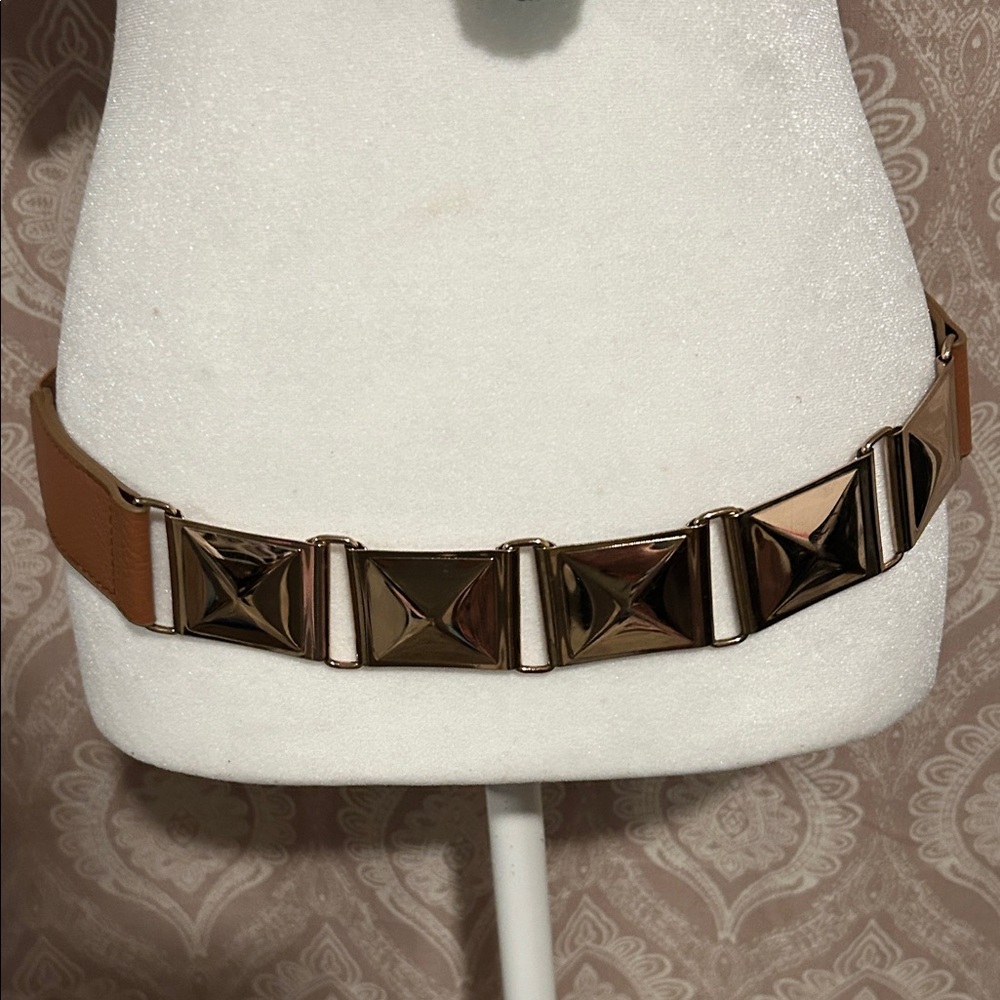 Body Central Tan and Gold Accent Belt